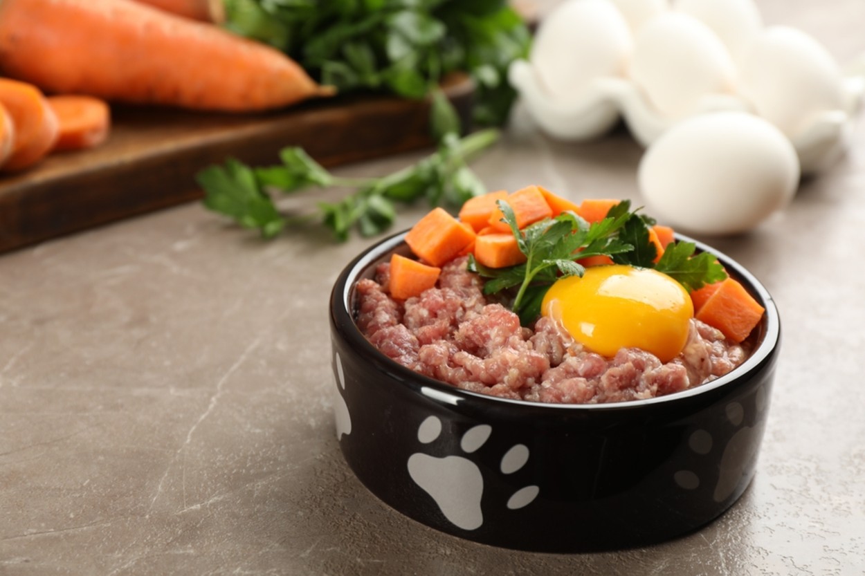 Ev Yapımı Köpek Maması