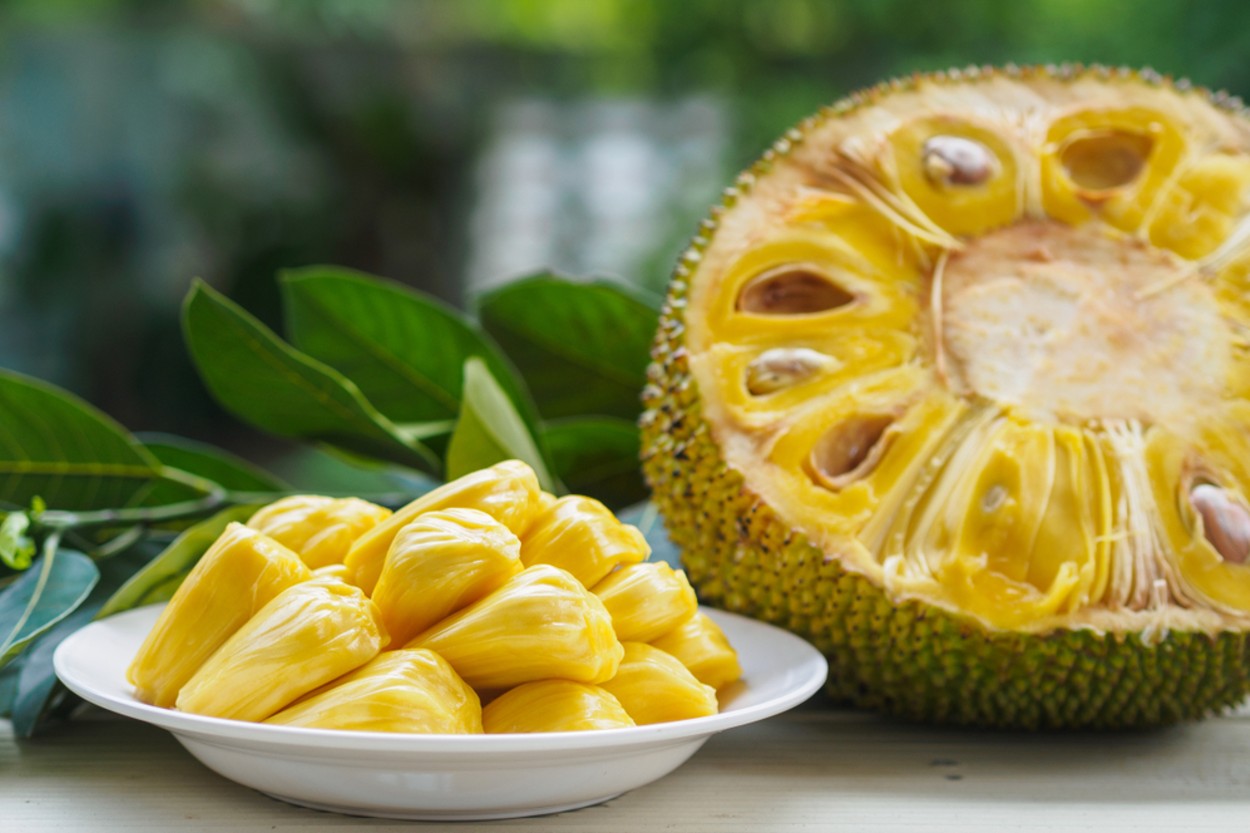 Jack Fruit