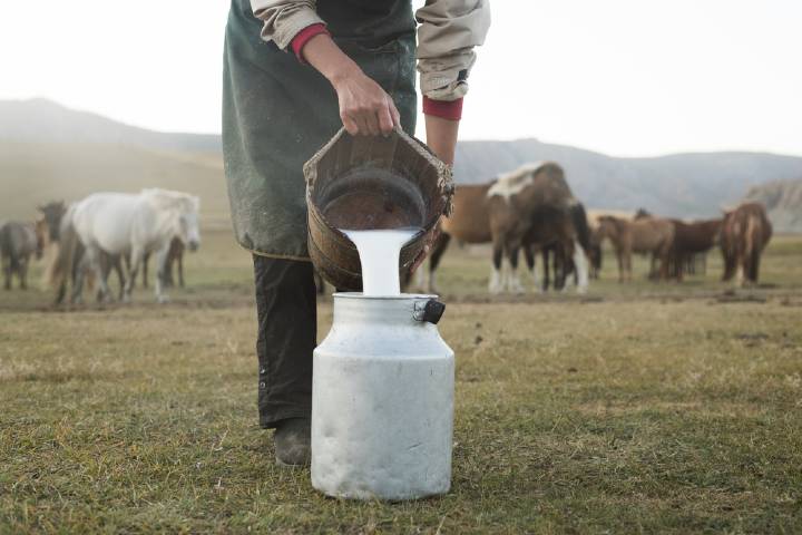 Kımız