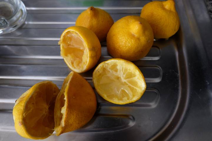 Limon Kabuğu