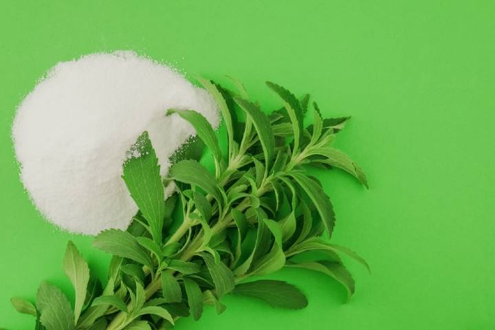 Stevia