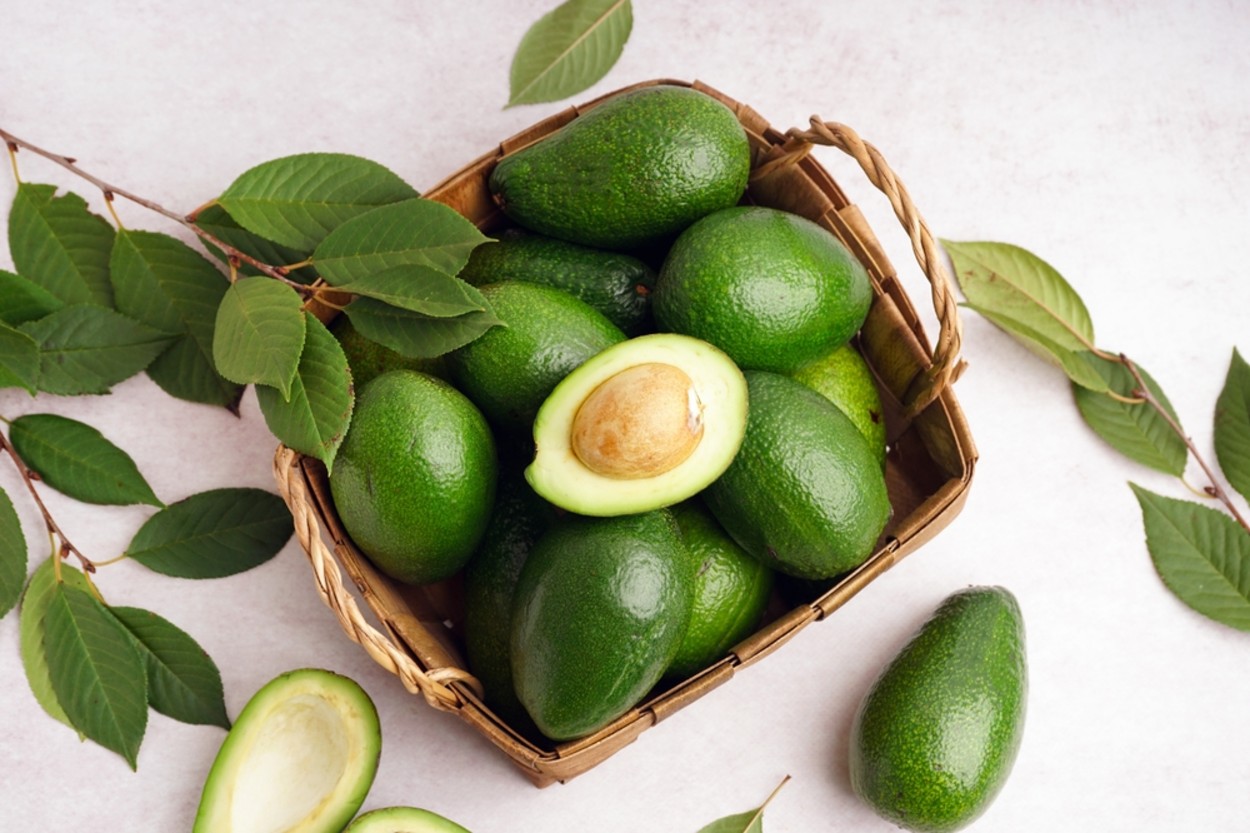 Avokado Yaprağı