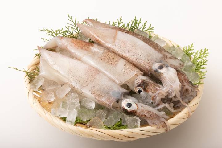 Kalamar