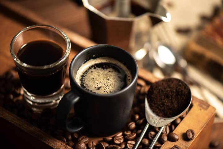 Lungo