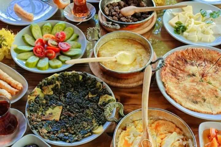 Meşelik Bahçe