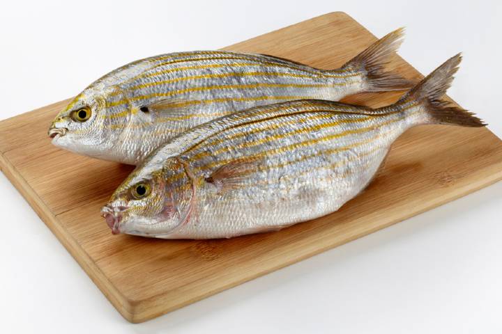 Sarpa Balığı