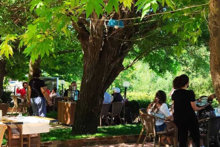 Ağaçlı Restaurant