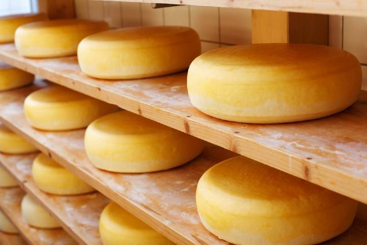Cheddar Peyniri