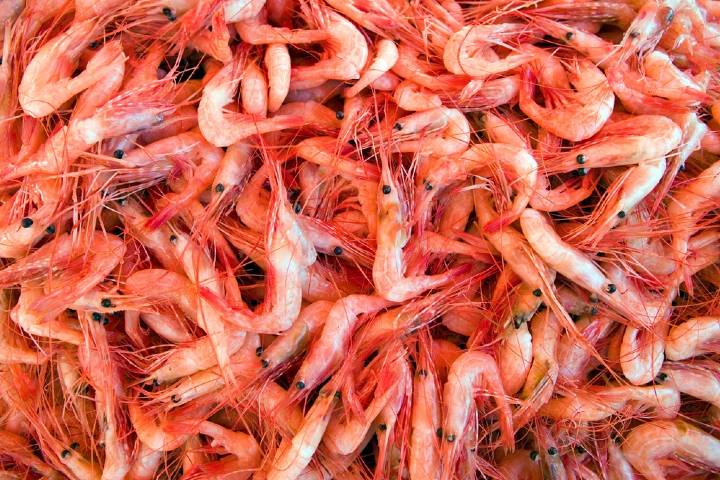 Karides
