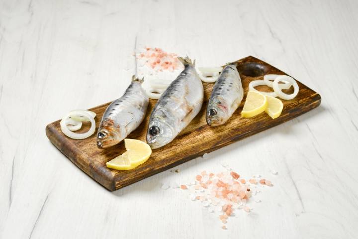 Ringa Balığı