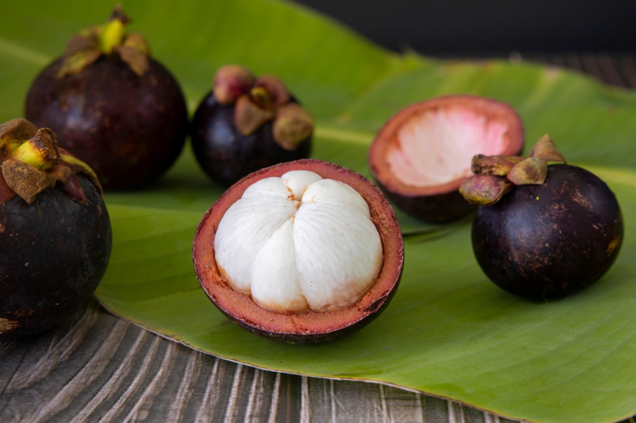 Mangosten