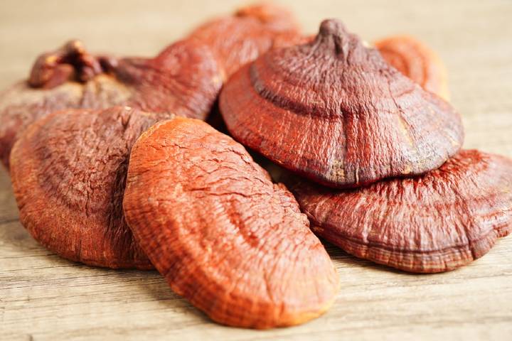 Reishi Mantarı