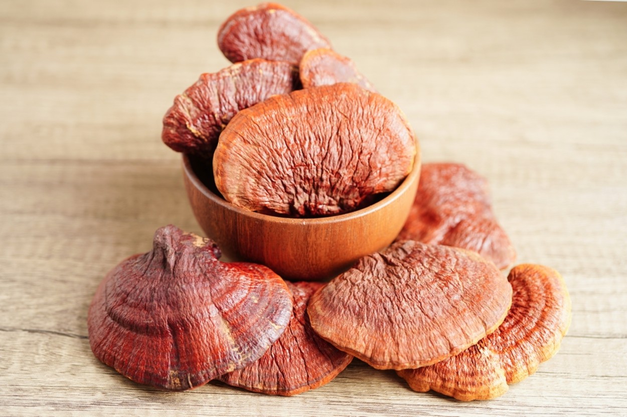 Reishi Mantarı