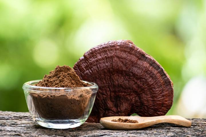 Reishi Mantarı