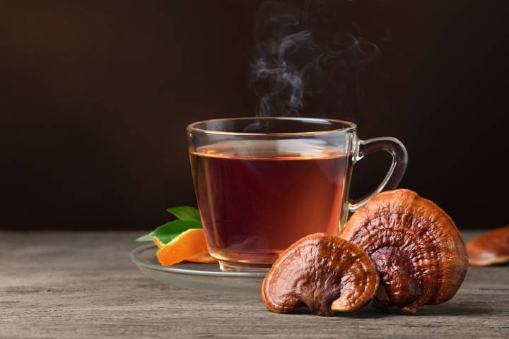 Reishi Mantarı