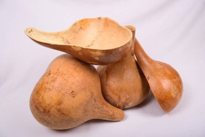 Su Kabağı