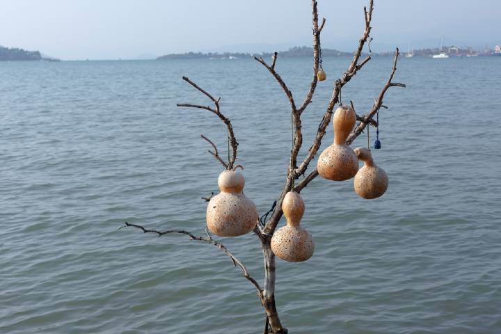 Su Kabağı