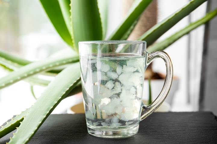 Aloe Vera Suyu