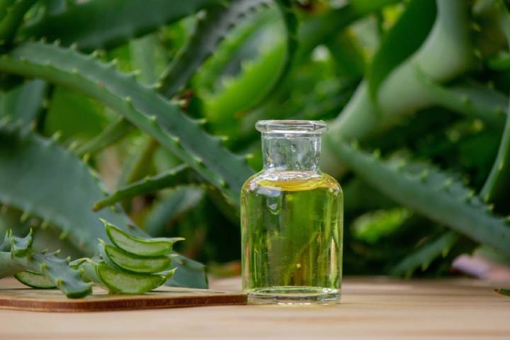 Aloe Vera Yağı