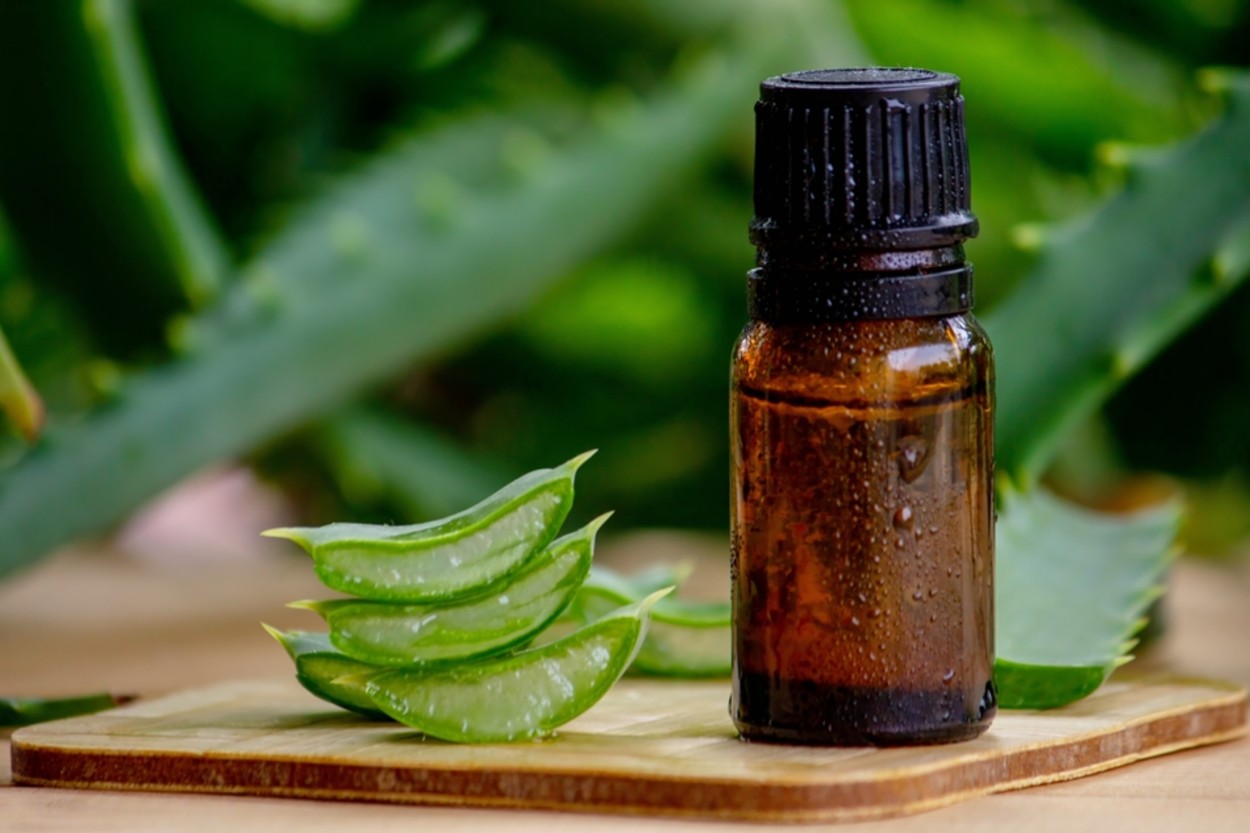 Aloe Vera Yağı