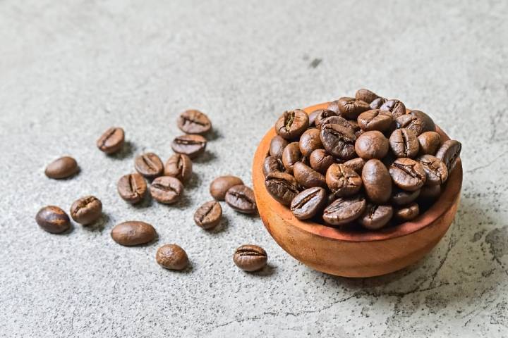 Arabica