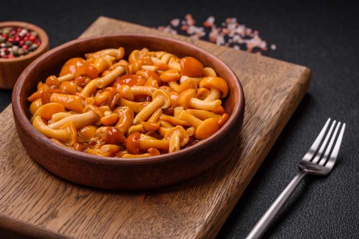 Bal Mantarı