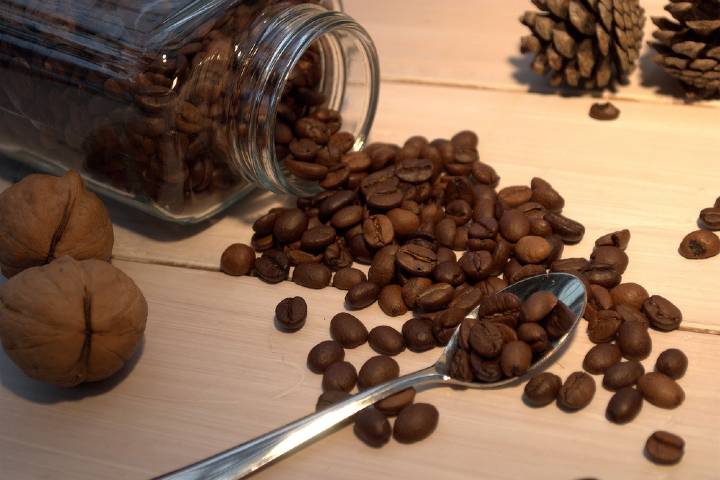 Excelsa