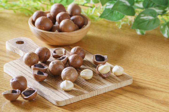 Macademia Fındığı