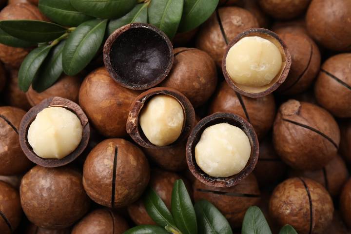 Macademia Fındığı