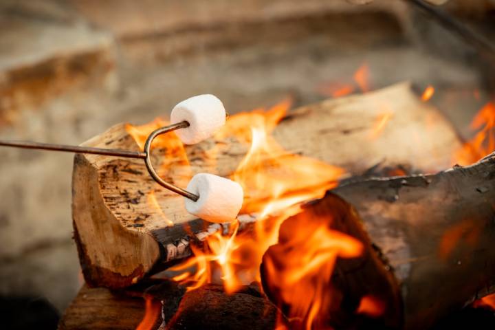 Marshmallow