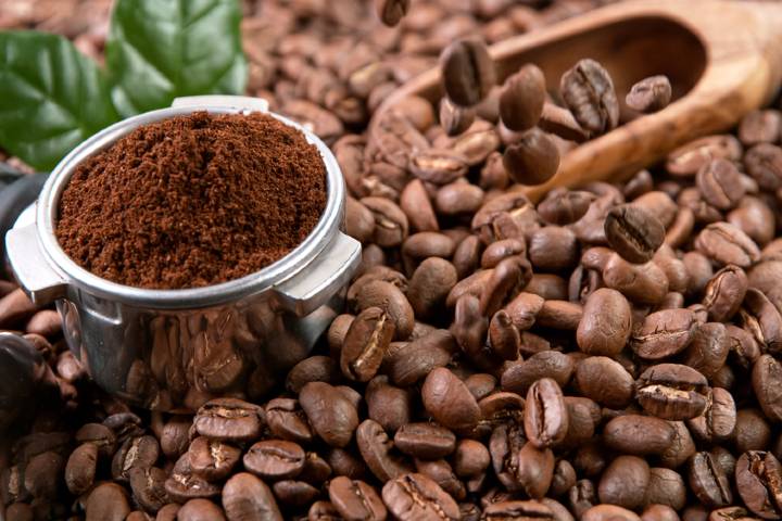 Robusta