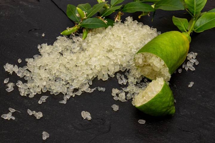 Finger Lime