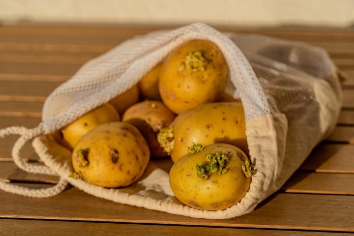 Patatesin Bozulduğu Nasıl Anlaşılır?