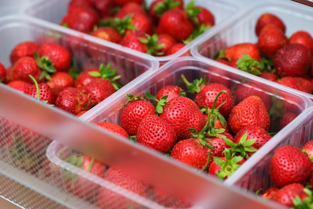 Çilek Nasıl Saklanır?