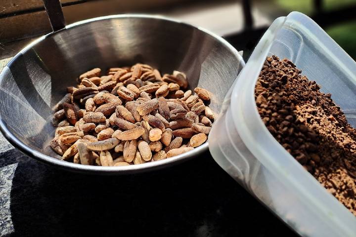 Hurma Çekirdeği Kahvesi