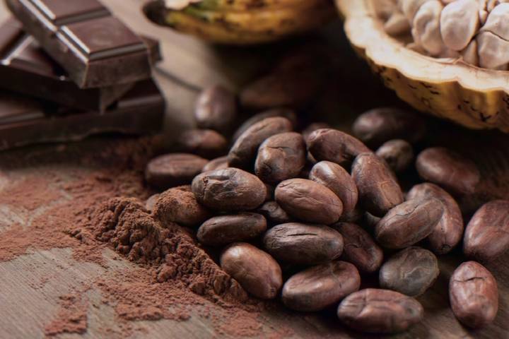 Kakao Çekirdeği