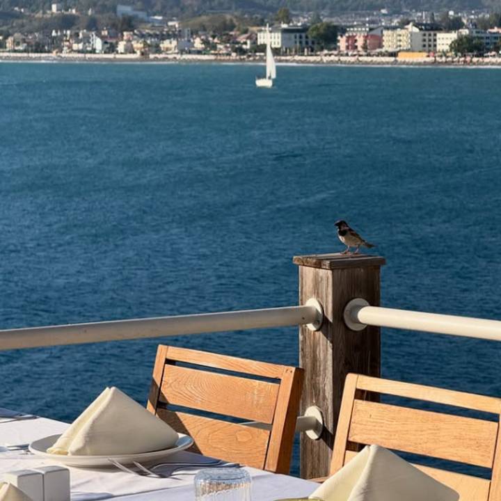 Ada Restaurant