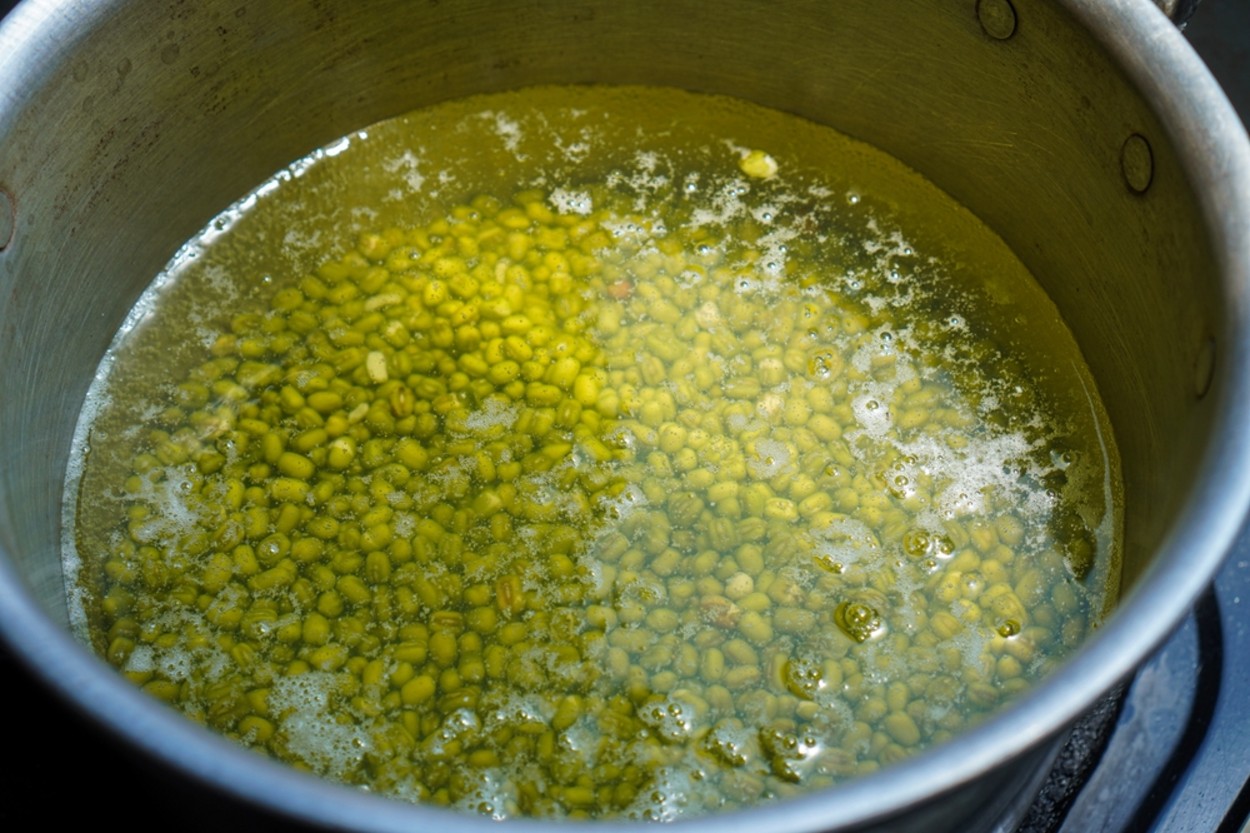 Maş Fasulyesi